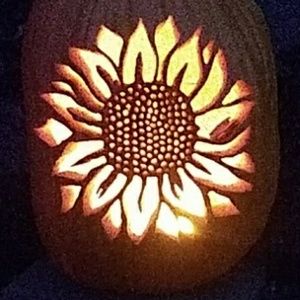 Meet your Posher, Andy